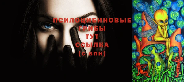 крисы Вязники