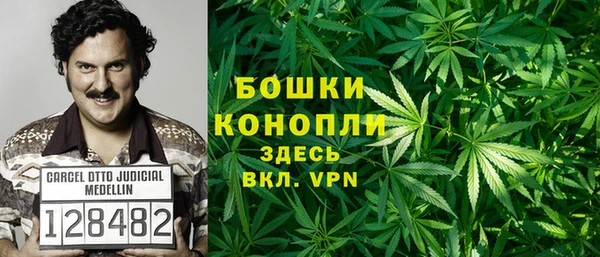 метадон Вяземский