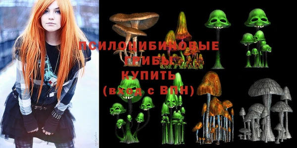 2c-b Вязьма
