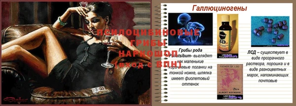 крисы Вязники