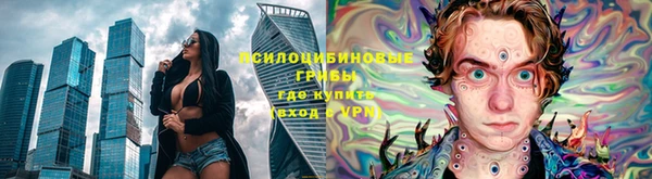 крисы Вязники